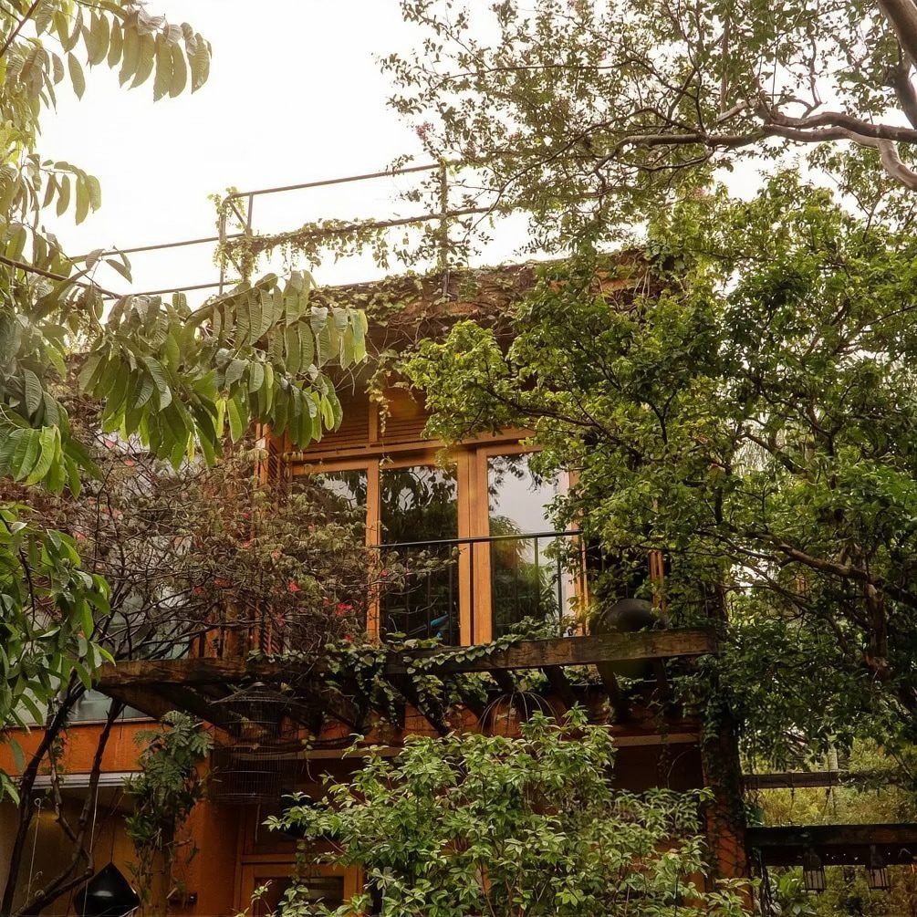 Fachada da EcoCasa tomada por vegetação, com esquadrias de madeira